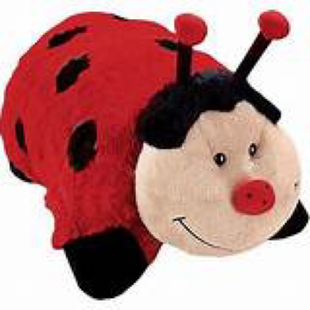 Pillow Pet